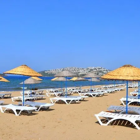 Sea And You Beachfront *