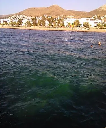 Sea And You Beachfront *