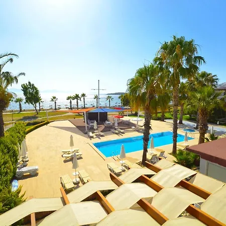 Apartment Sea And You Beachfront *